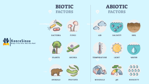 faktor biotik dan abiotik
